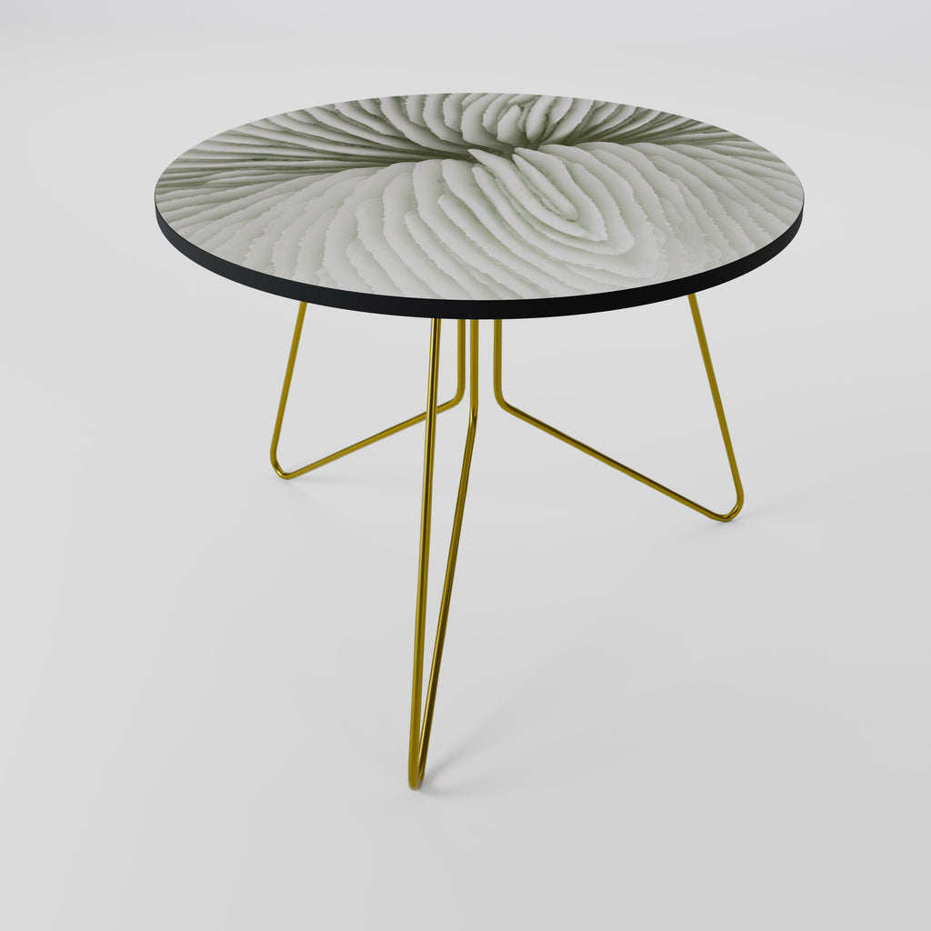 NATURE'S SYMMETRY Coffee Table