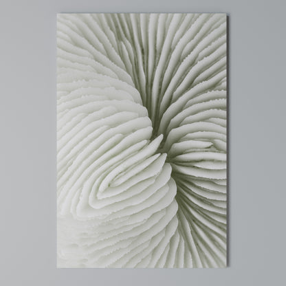 NATURE'S SYMMETRY Vertical Canvas Print