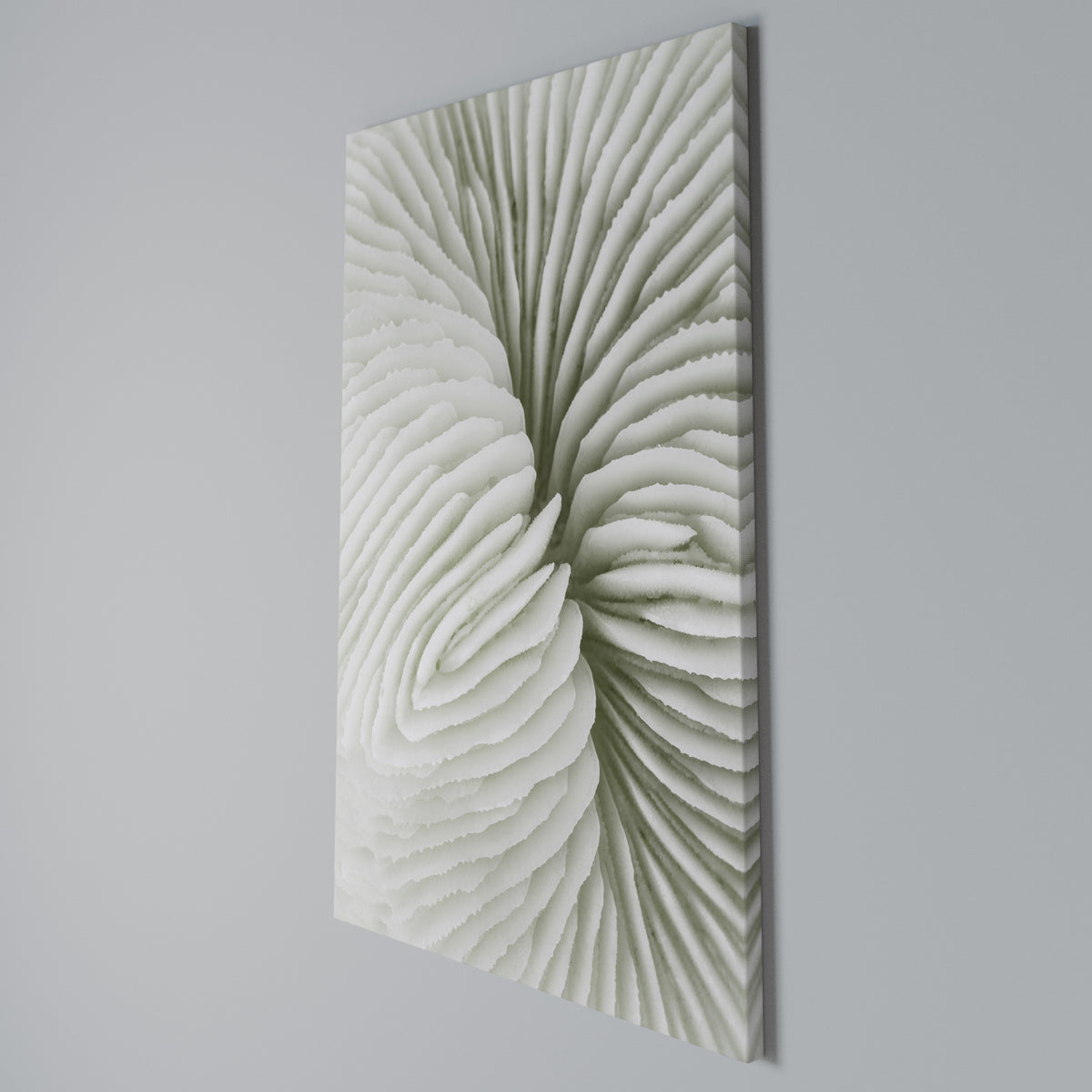 NATURE'S SYMMETRY Vertical Canvas Print