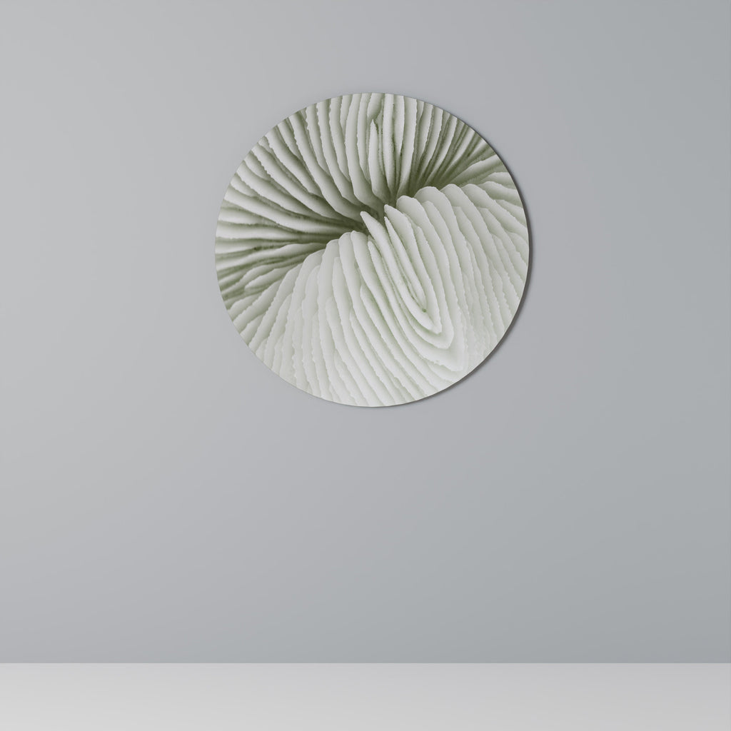 SYMÉTRIE DE LA NATURE Art mural rond