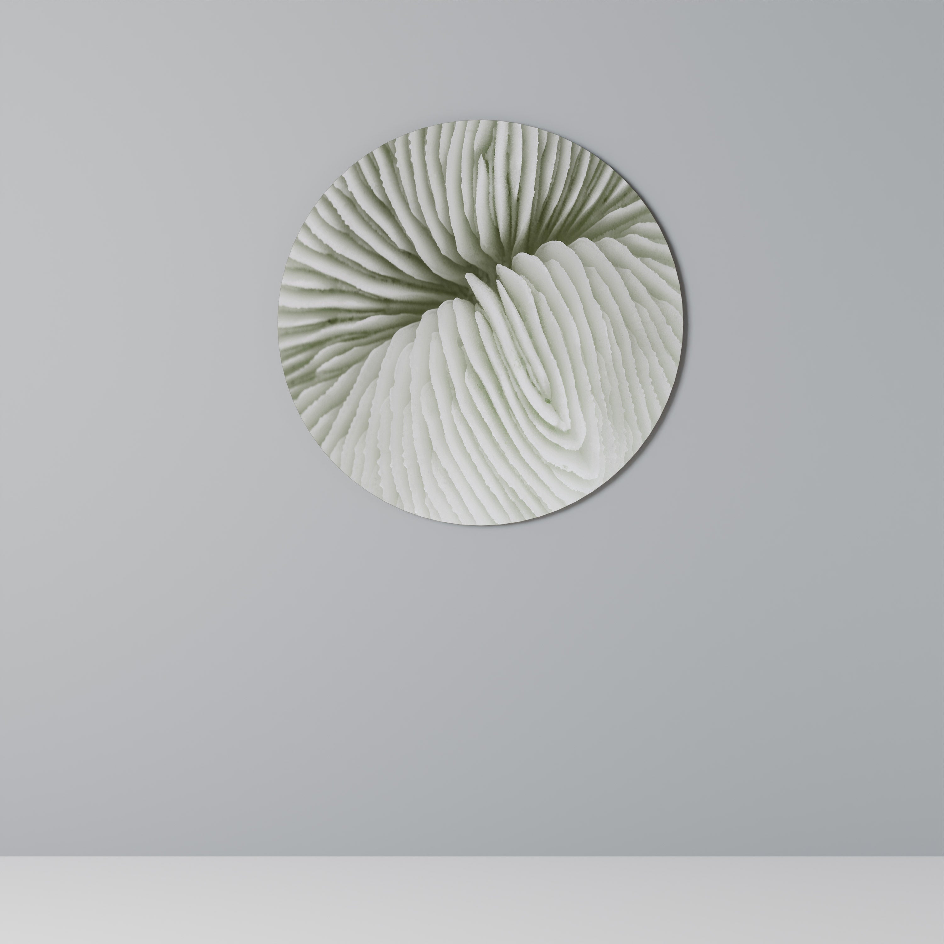 SYMÉTRIE DE LA NATURE Art mural rond