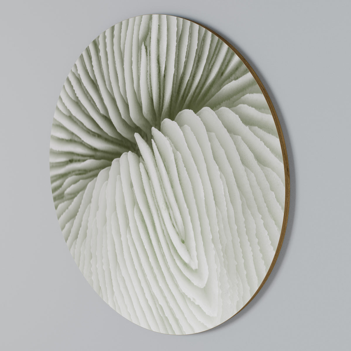 NATURE'S SYMMETRY Round Wall Art