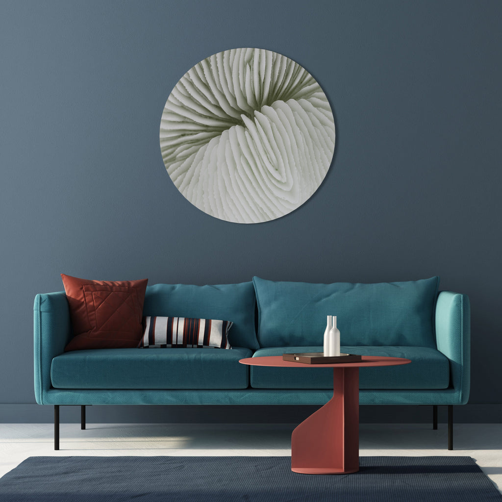 SYMÉTRIE DE LA NATURE Art mural rond