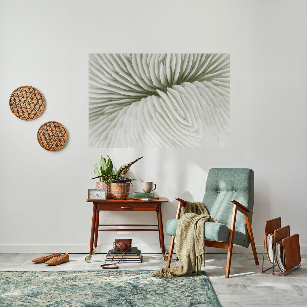 Affiche horizontale autocollante LA SYMÉTRIE DE LA NATURE