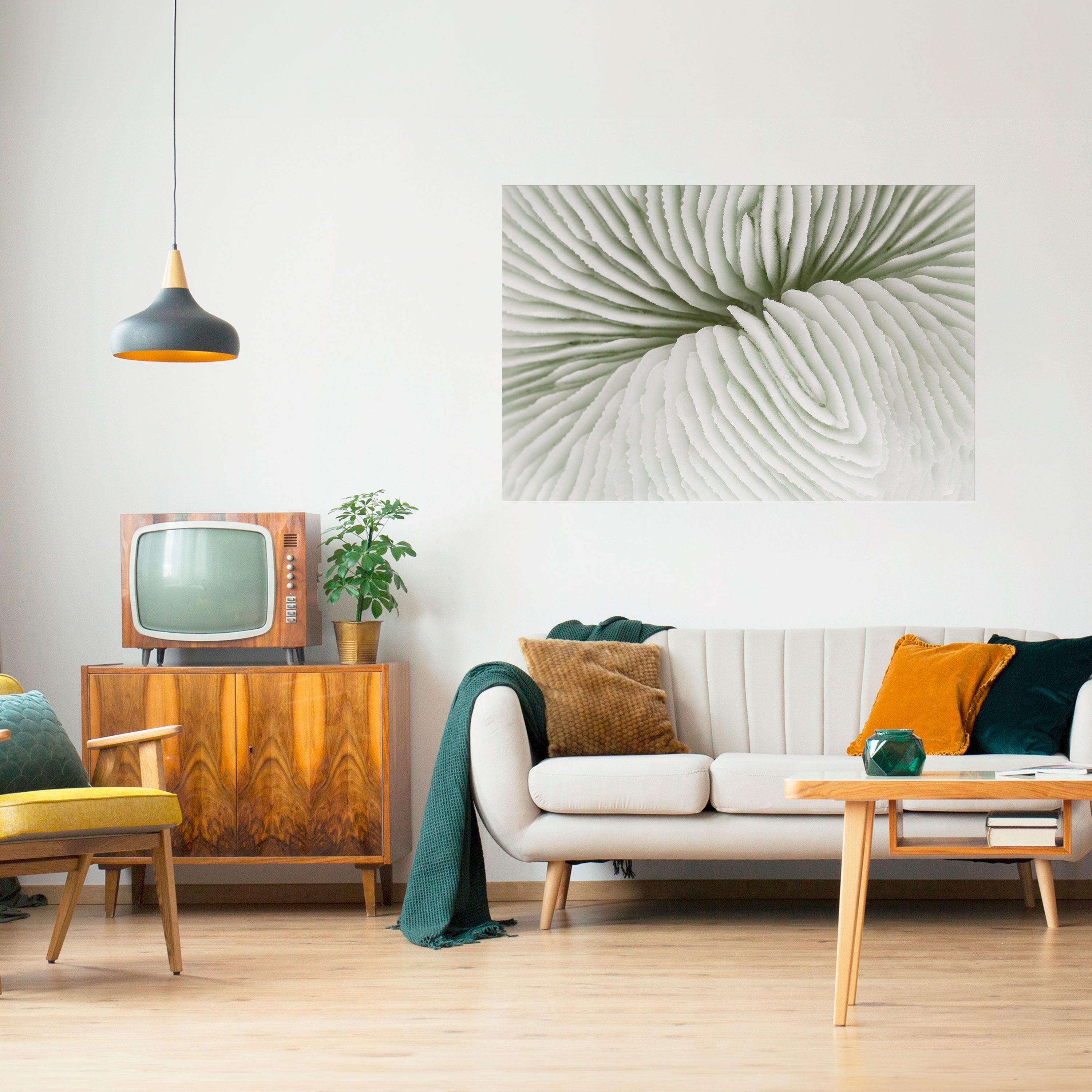 Affiche horizontale autocollante LA SYMÉTRIE DE LA NATURE