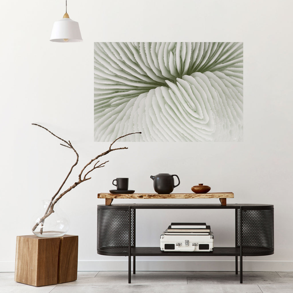 Affiche horizontale autocollante LA SYMÉTRIE DE LA NATURE