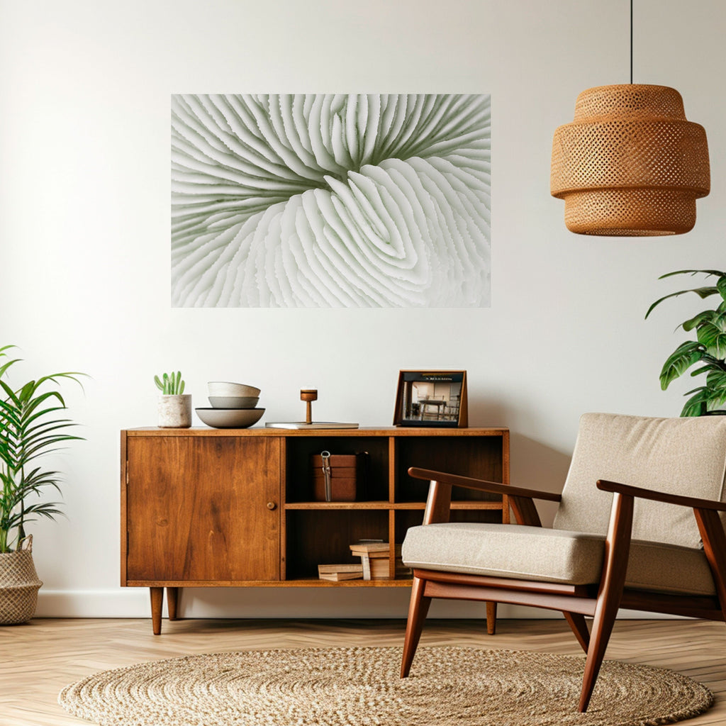 Affiche horizontale autocollante LA SYMÉTRIE DE LA NATURE