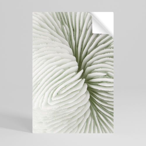 NATURE'S SYMMETRY Peel and Stick Vertical Poster