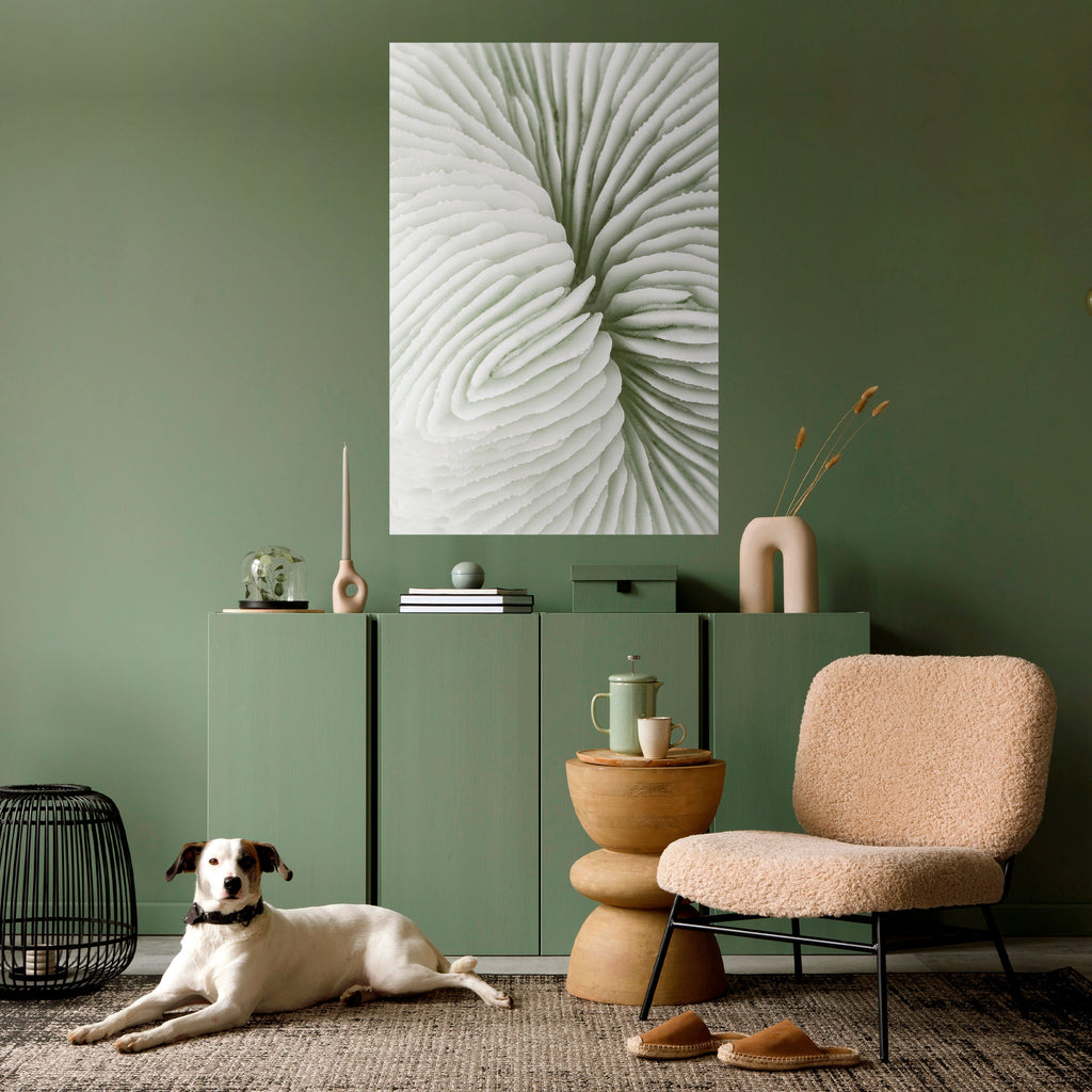 Affiche verticale autocollante SYMÉTRIE DE LA NATURE