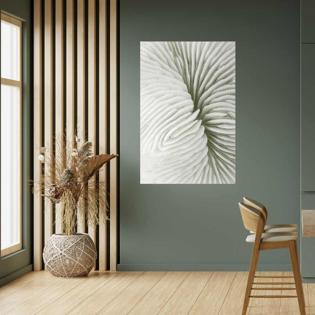 Affiche verticale autocollante SYMÉTRIE DE LA NATURE