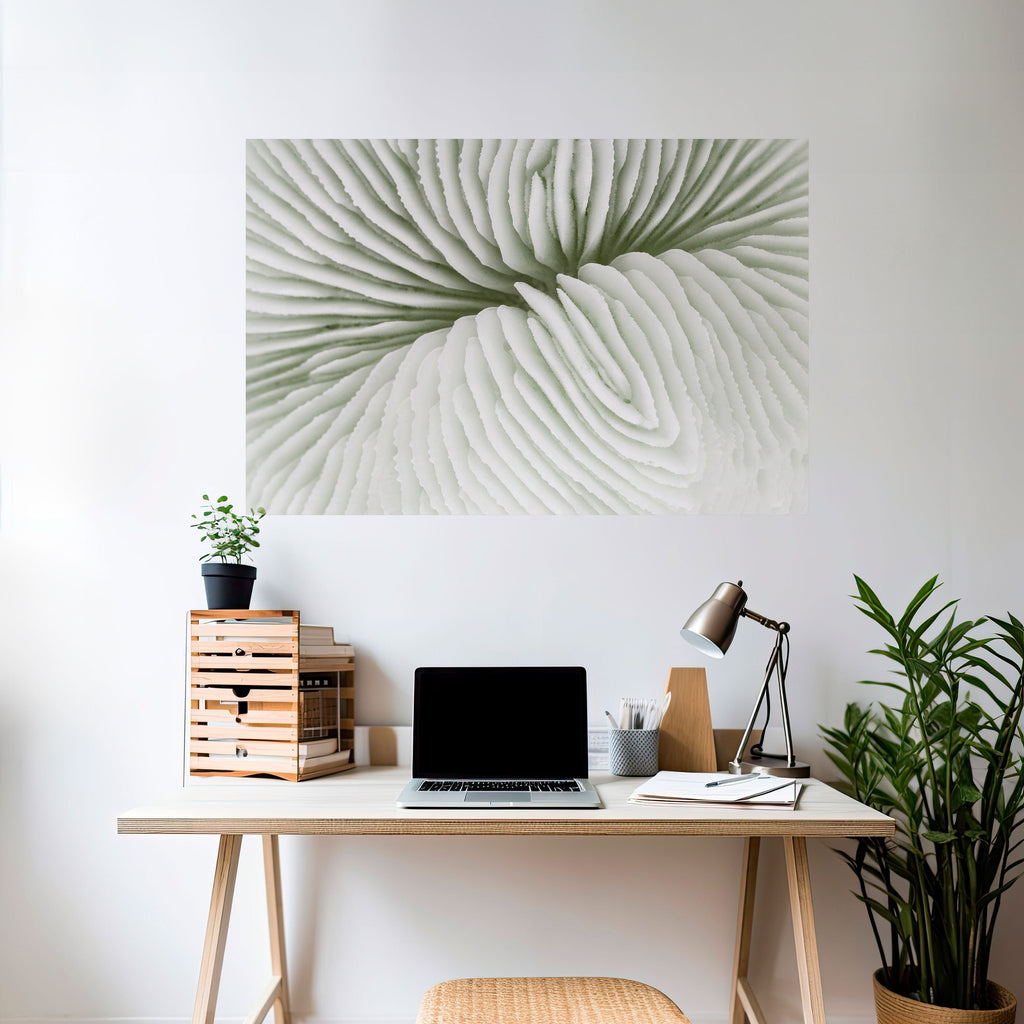 Affiche horizontale autocollante LA SYMÉTRIE DE LA NATURE