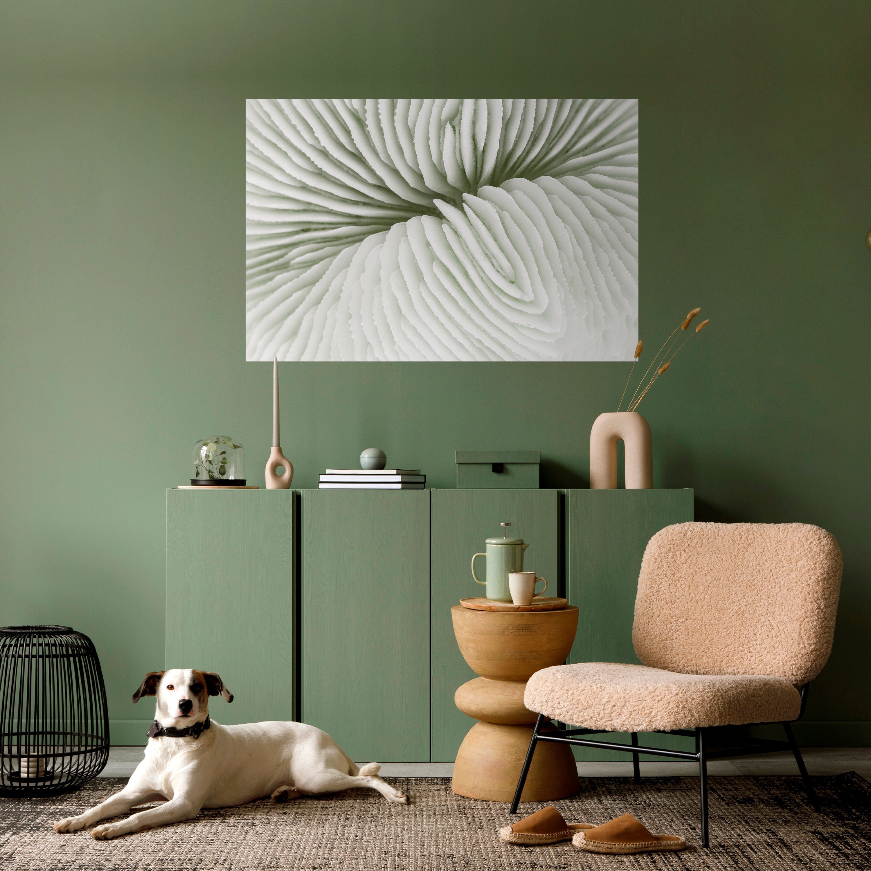 Affiche horizontale autocollante LA SYMÉTRIE DE LA NATURE