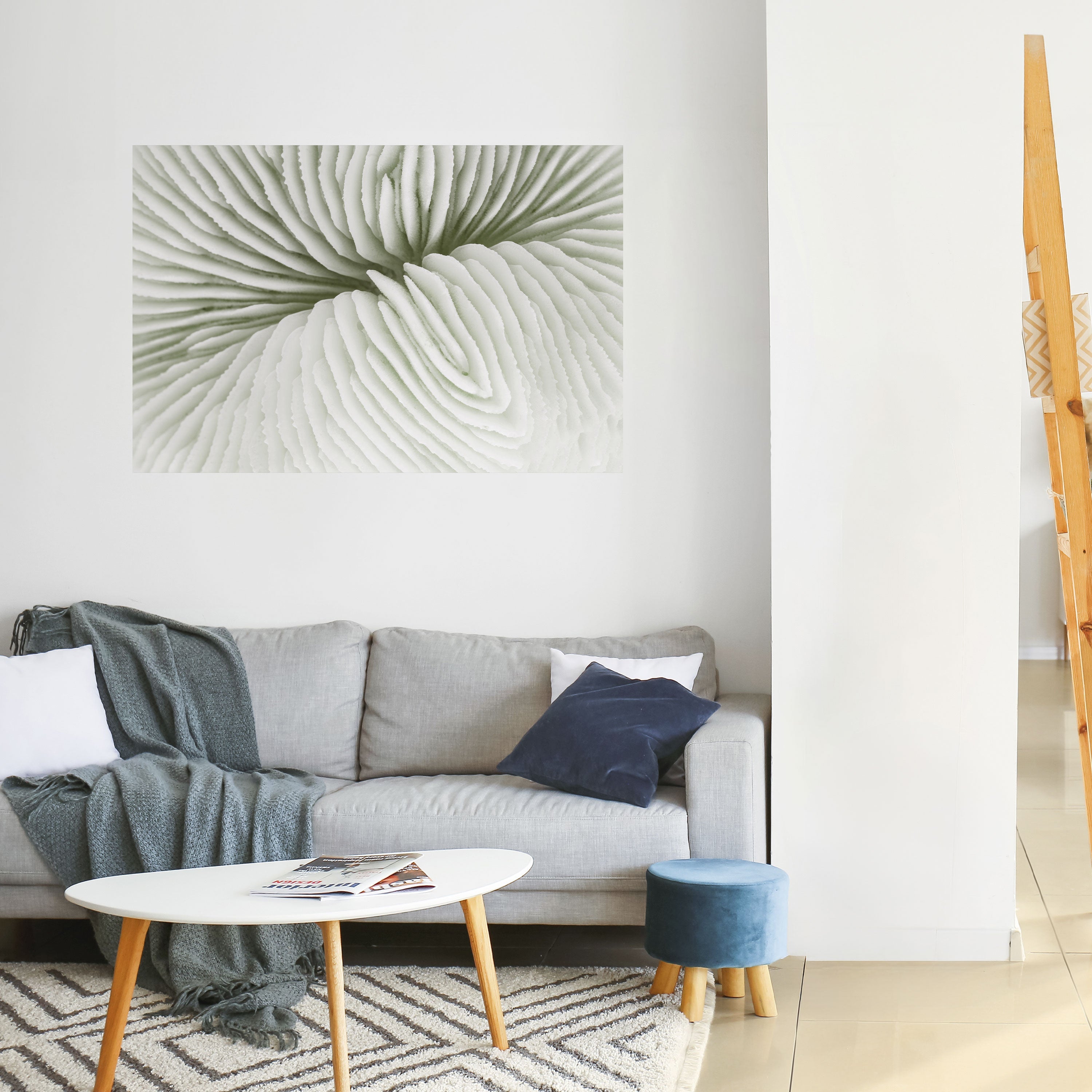 Affiche horizontale autocollante LA SYMÉTRIE DE LA NATURE