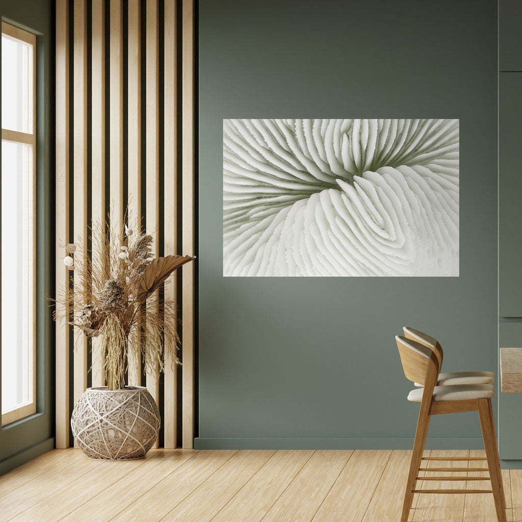 Affiche horizontale autocollante LA SYMÉTRIE DE LA NATURE