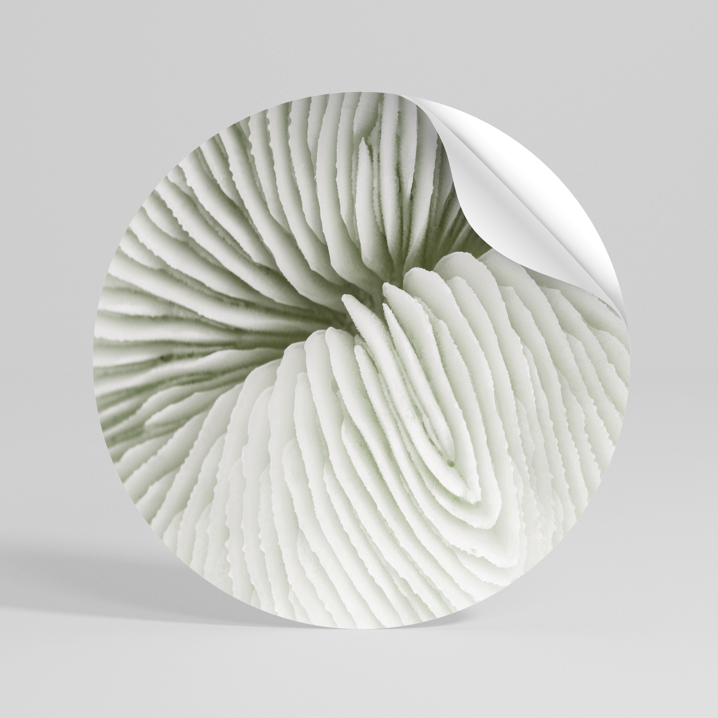 NATURE'S SYMMETRY Peel and Stick Round Sticker