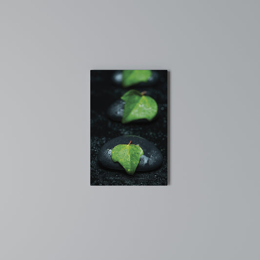 RAINDROPS ON STONE Vertical Canvas Print