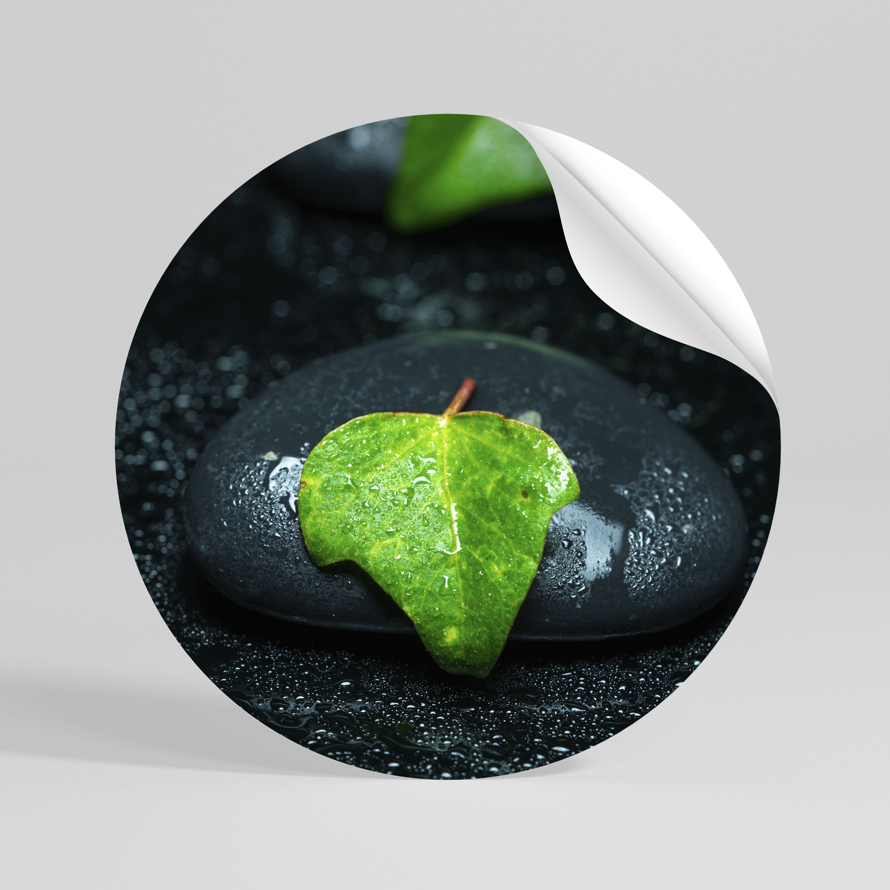 RAINDROPS ON STONE Peel and Stick Round Sticker