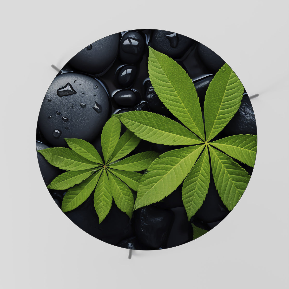 NATURE'S EMBRACE Coffee Table