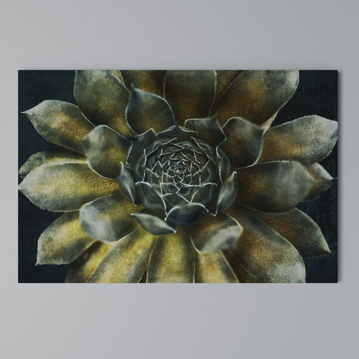 MYSTICAL SUCCULENT WHIRL Horizontal Canvas Print