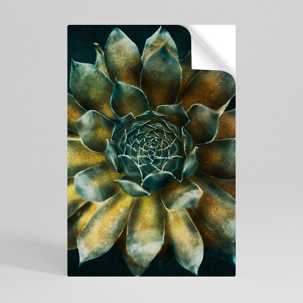 Affiche verticale autocollante « Tourbillon mystique de plantes succulentes »