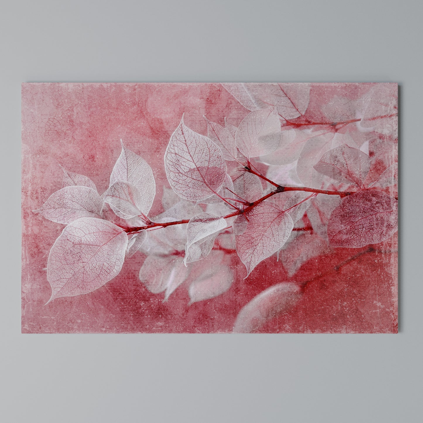 ETHERAL PETAL GLOW Horizontal Canvas Print