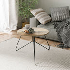 LAKESIDE NOSTALGY Coffee Table