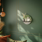 URBAN TROPICS Art Shelf