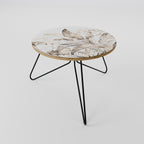 WILD TENDERNESS Coffee Table