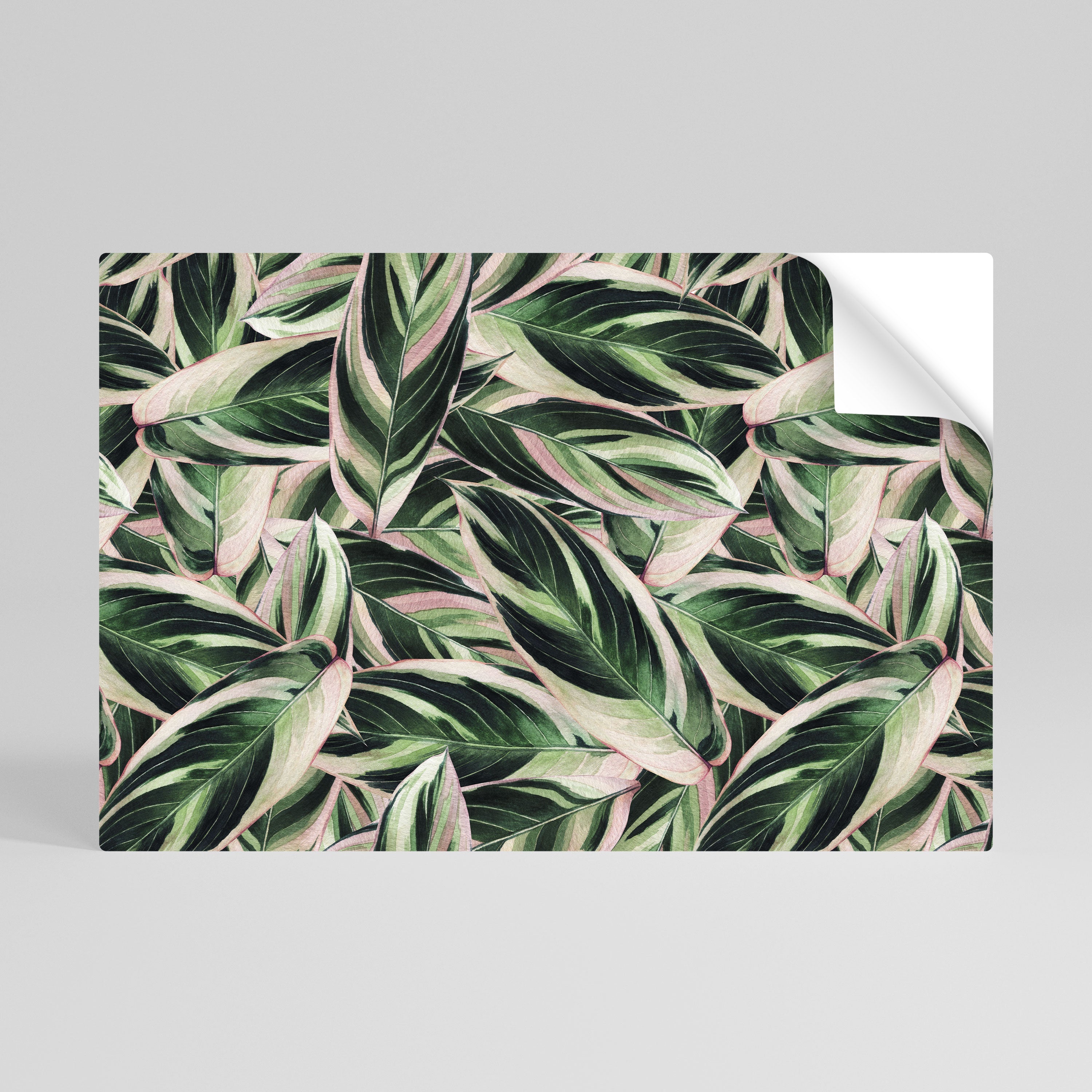 Affiche horizontale autocollante « EERIE STROMANTHE »