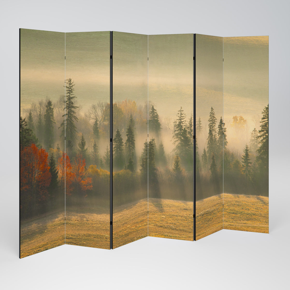 GILDING HOURS 6-Panel Room Divider