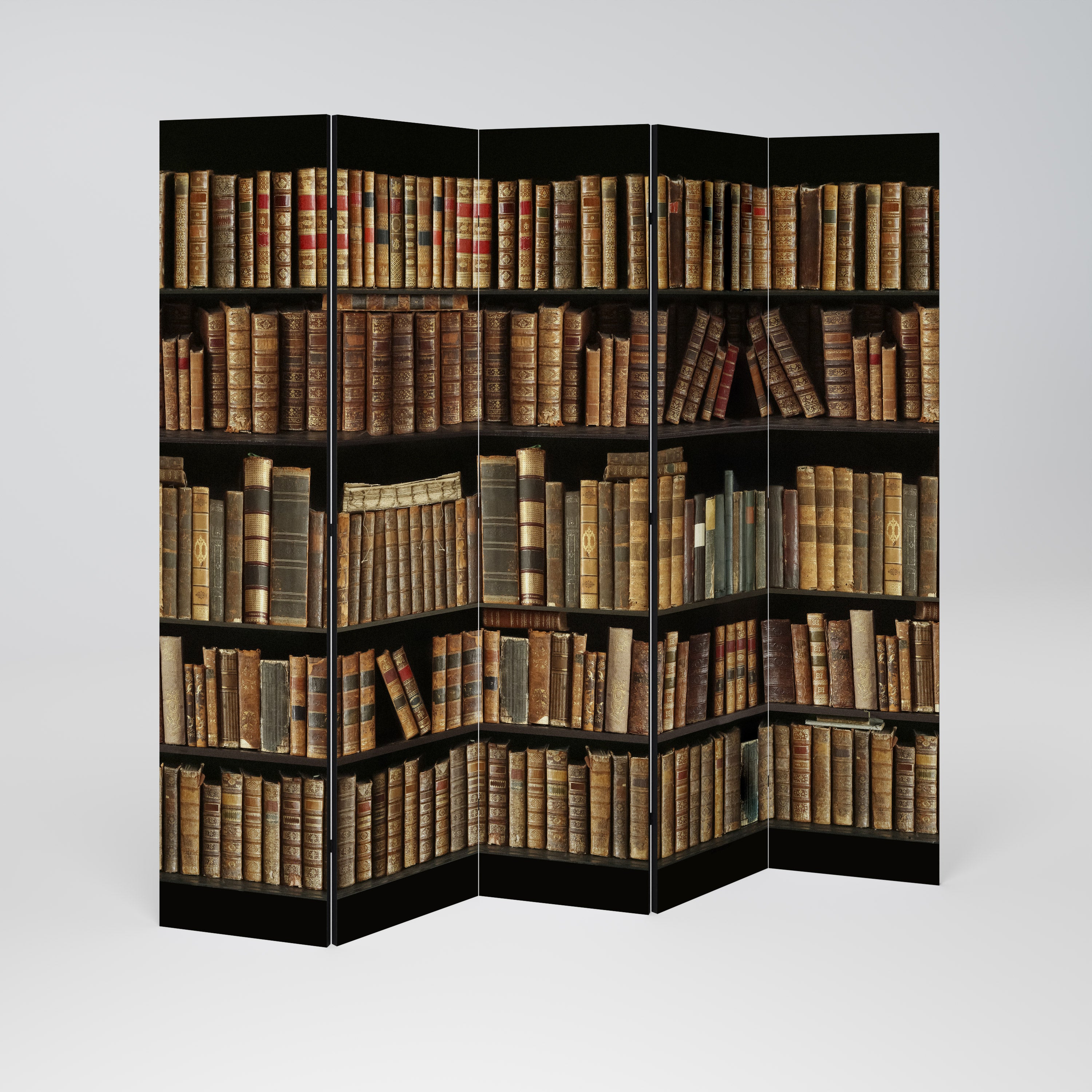 SHELVES OF TIME 5-Panel Room Divider