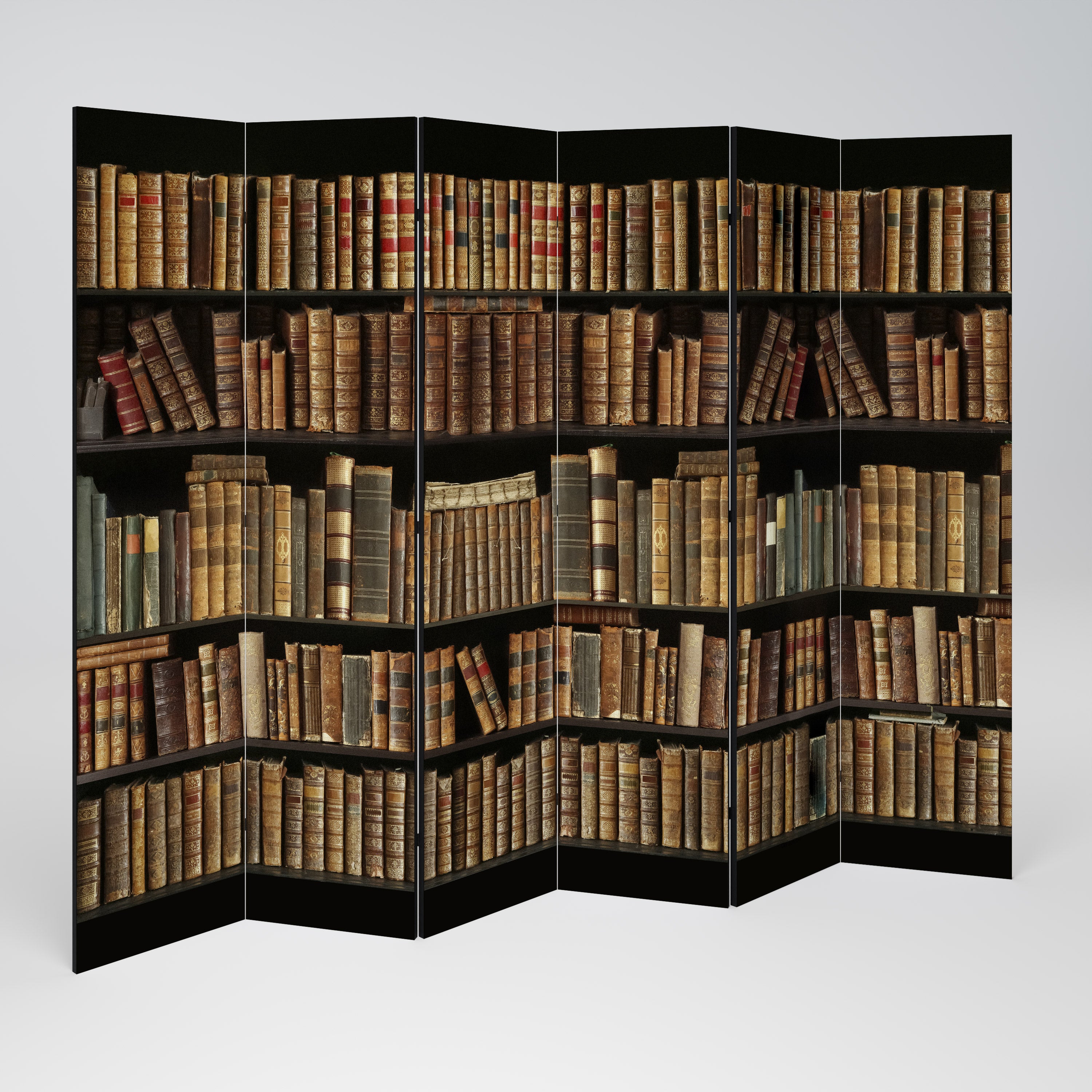 SHELVES OF TIME 6-Panel Room Divider