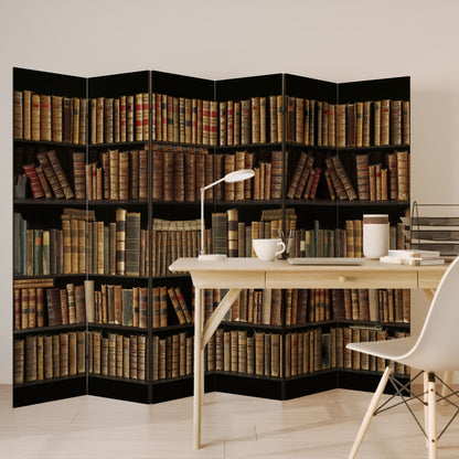SHELVES OF TIME 6-Panel Room Divider