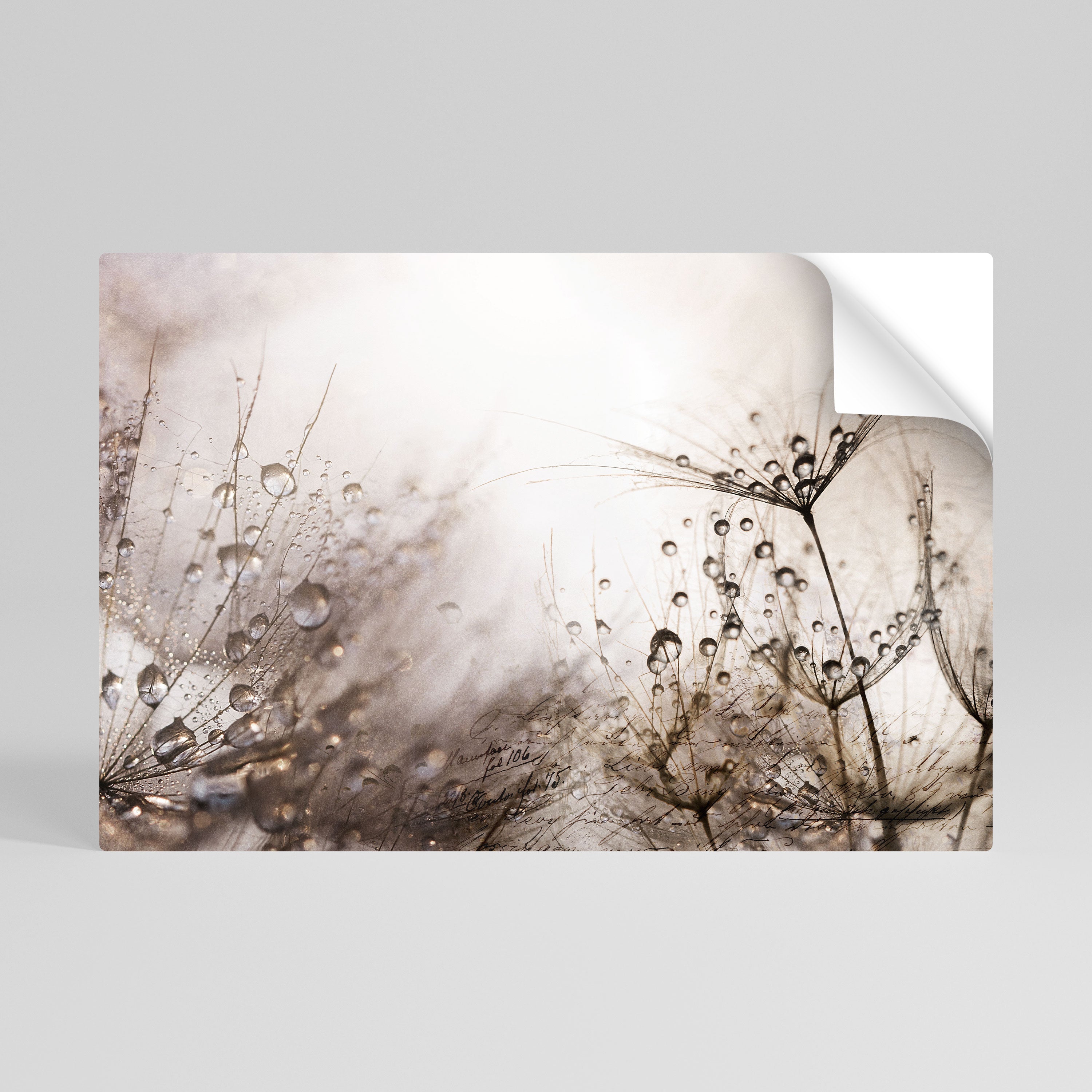 Affiche horizontale autocollante « FEETING DAWN »