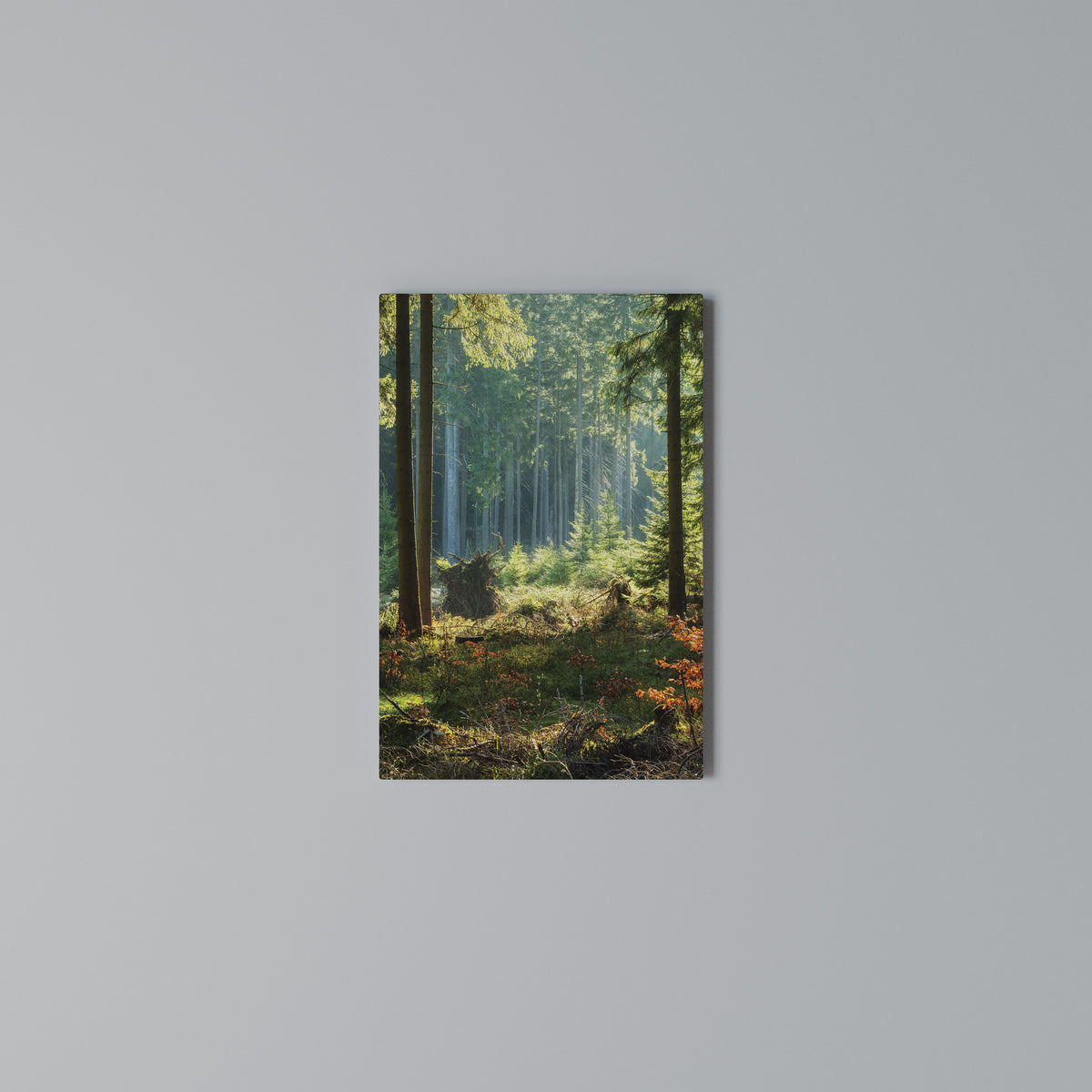 SUNLIT FOREST SERENADE Vertical Canvas Print