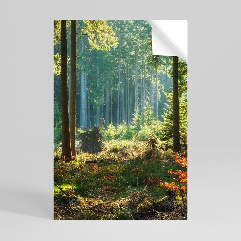 Affiche verticale autocollante « SÉRÉNADE DANS LA FORÊT ENSOLEILLÉE »
