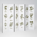 HERBAL FINESSE - IT 6-Panel Room Divider