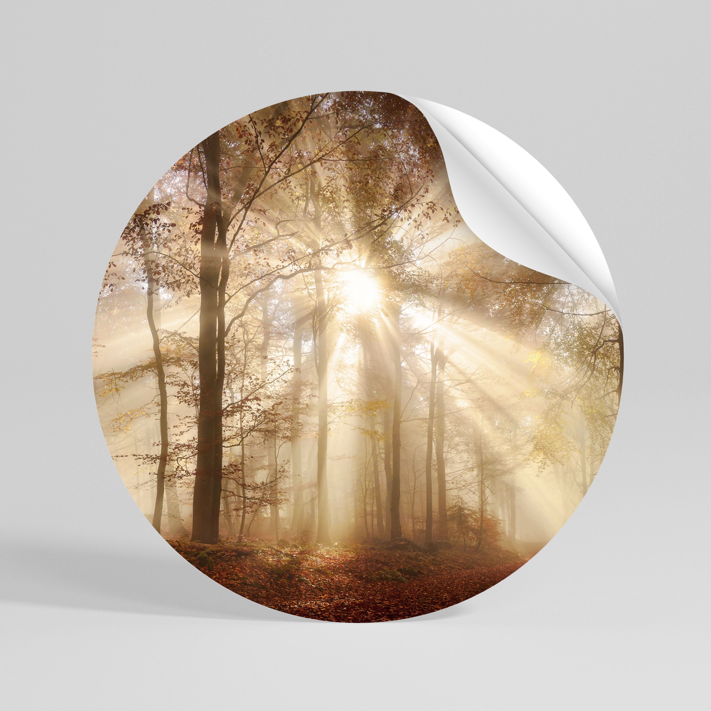 WHISPERS OF AUTUMN Peel and Stick Round Sticker