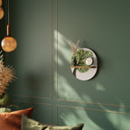 WILDERNESS DASH Art Shelf