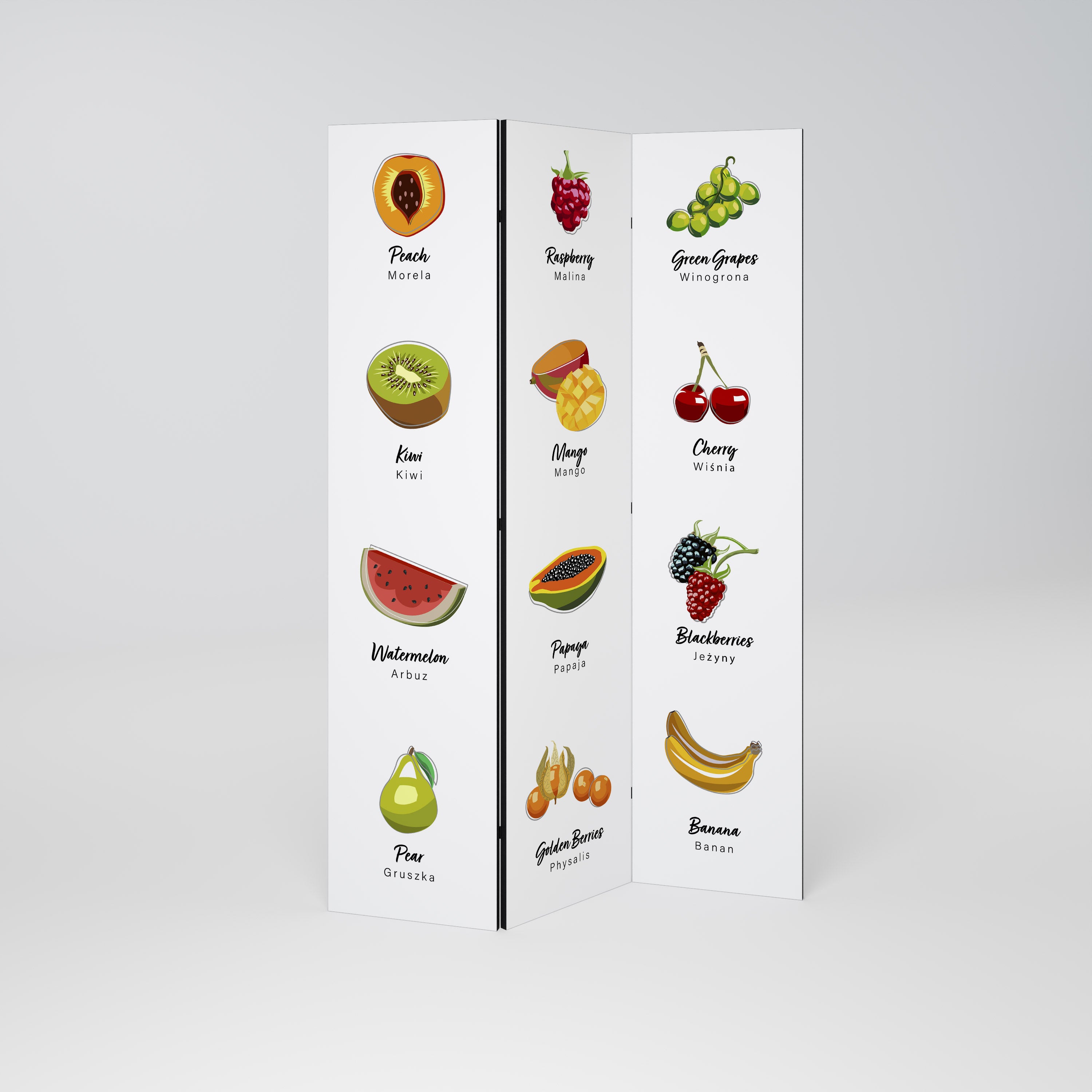FRUIT LESSON 3-Panel Room Divider