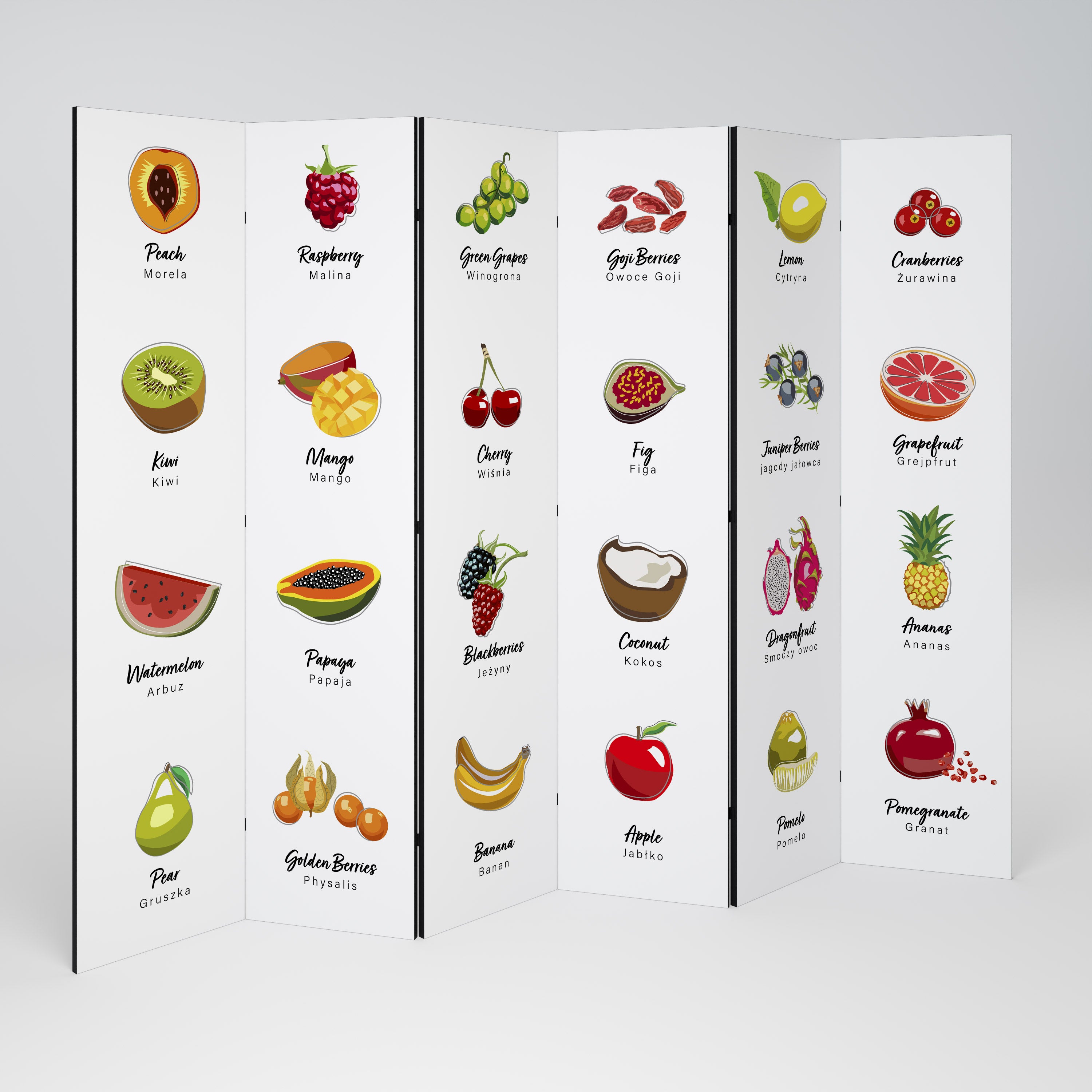 FRUIT LESSON 6-Panel Room Divider