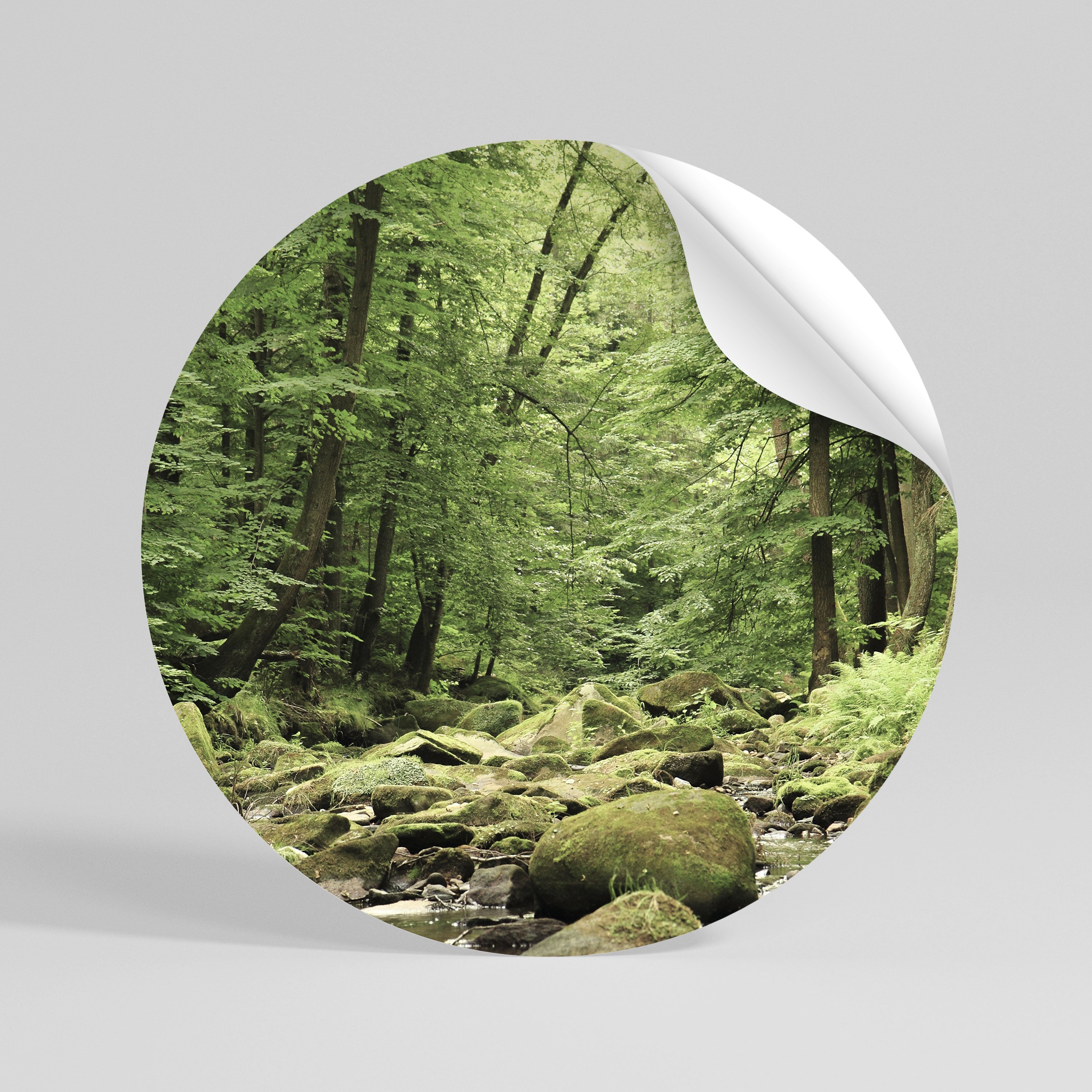TRANQUIL STONES AND STREAMS Peel and Stick Round Sticker