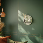 FENNEL BALDACHIN Art Shelf