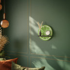 REFRESHING LIME Art Shelf