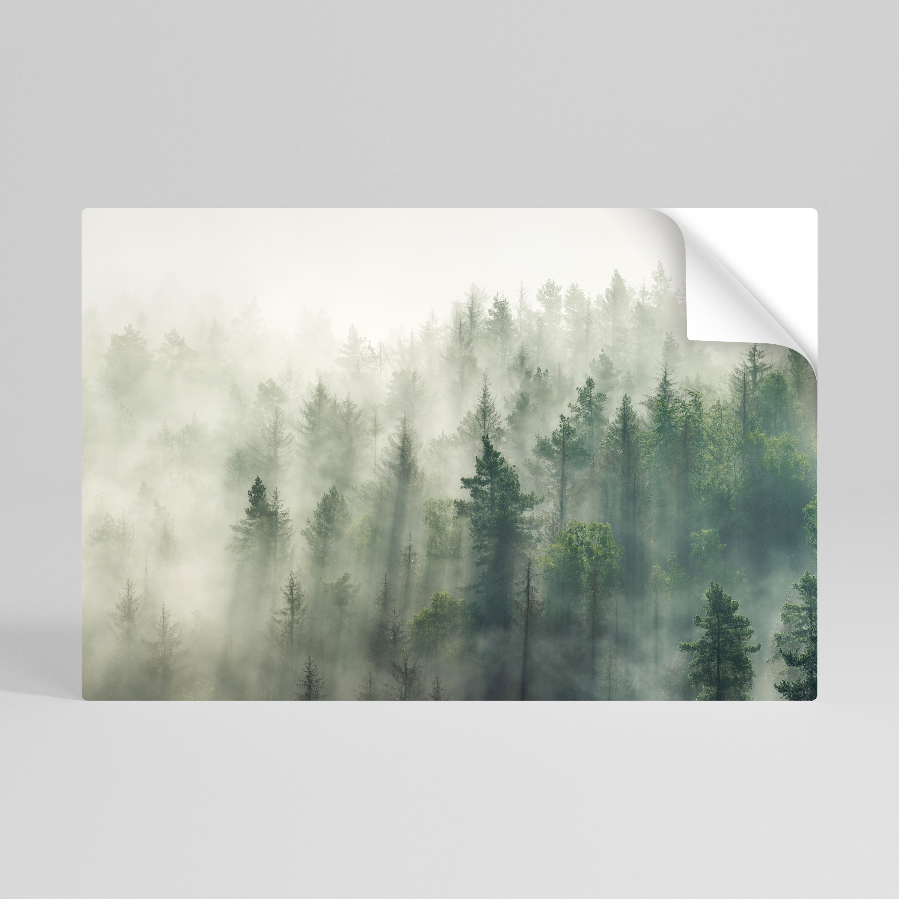 Affiche horizontale autocollante « MISTY FOREST »