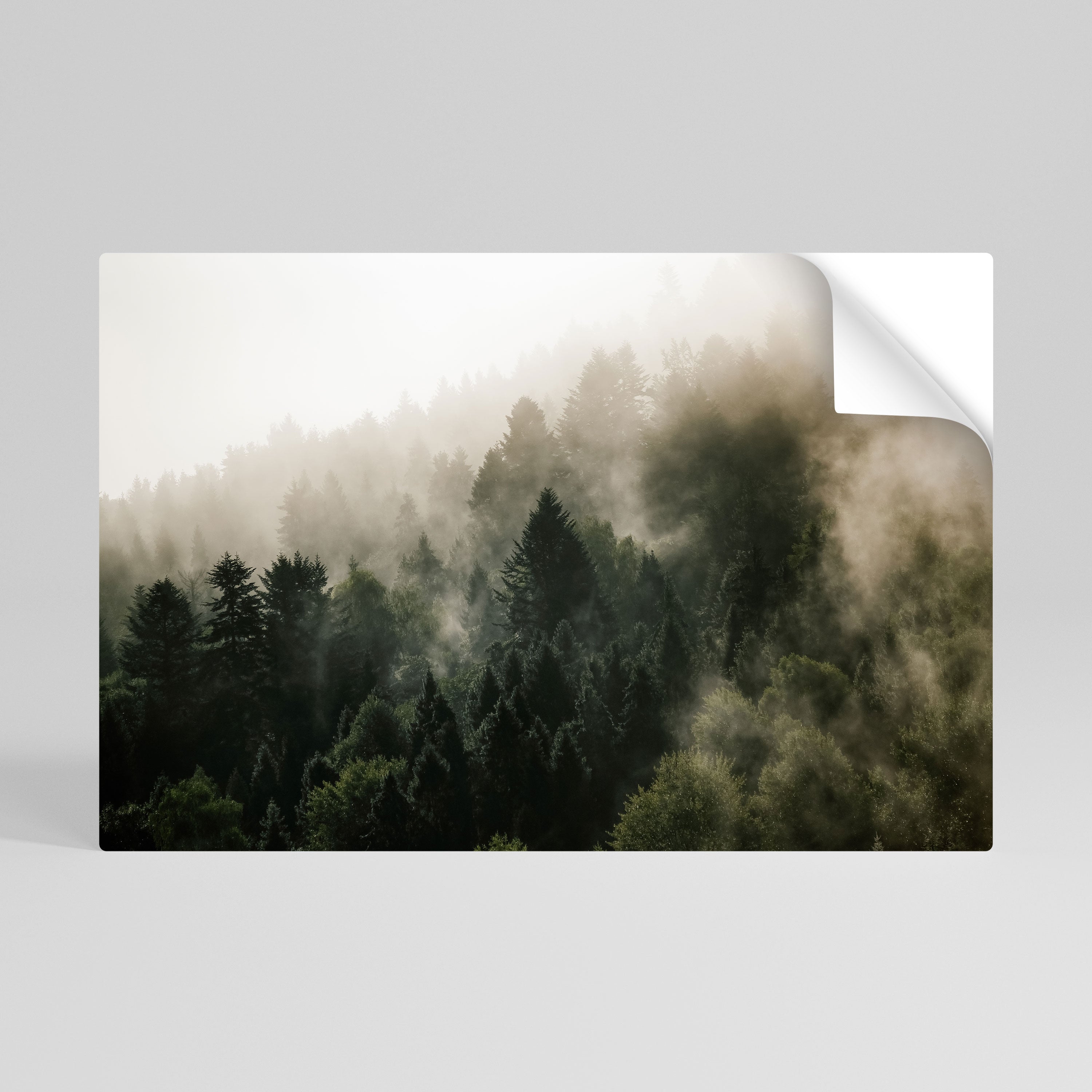 Affiche horizontale autocollante MISTY HIGHLANDS