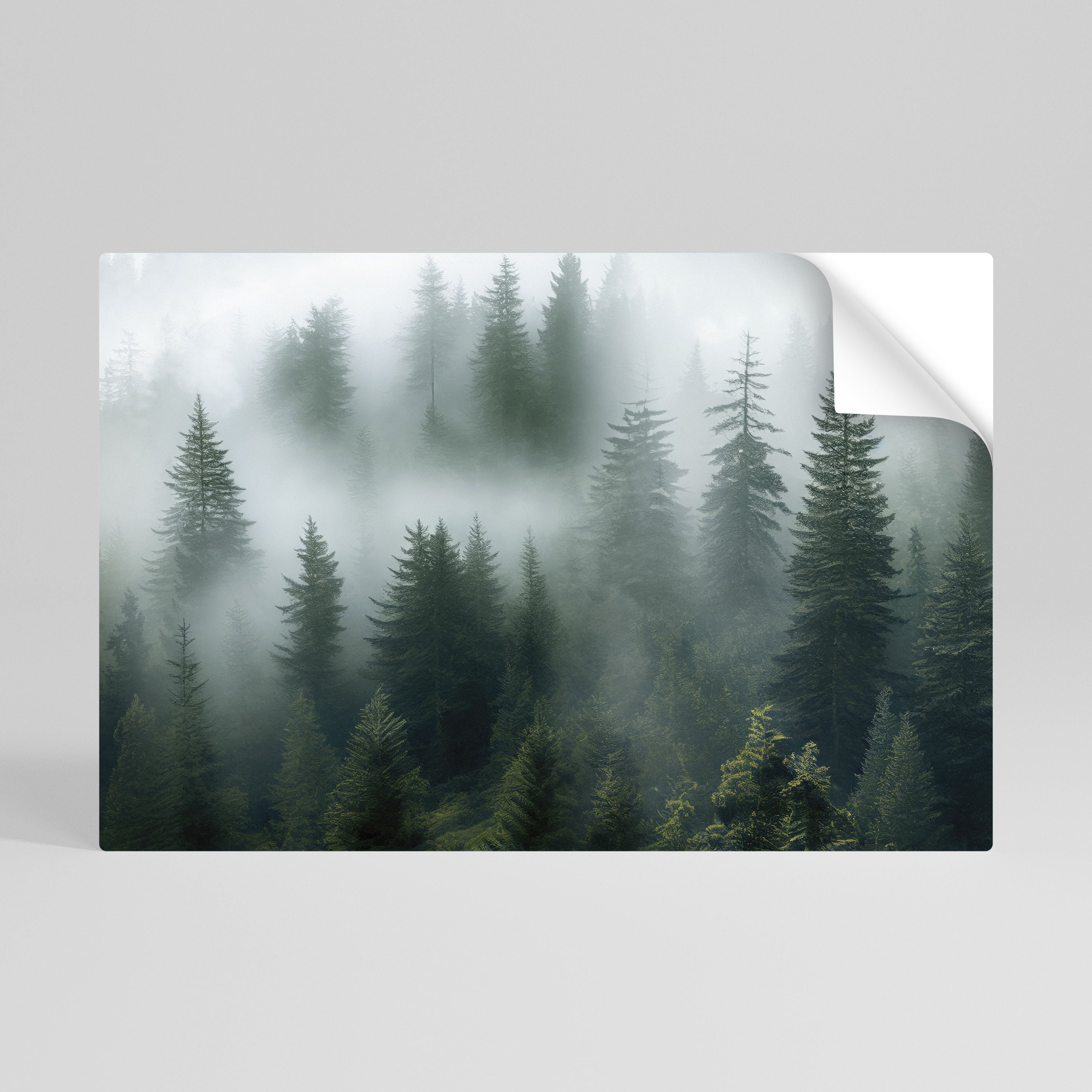 Affiche horizontale autocollante FOGGY CREST