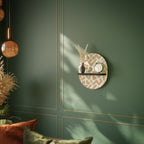 CLUSTER CRAFTS Art Shelf