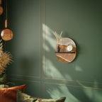 SANDHILLS SPLENDOUR Art Shelf