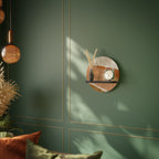 SANDHILLS SPLENDOUR Art Shelf